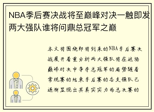 NBA季后赛决战将至巅峰对决一触即发两大强队谁将问鼎总冠军之巅